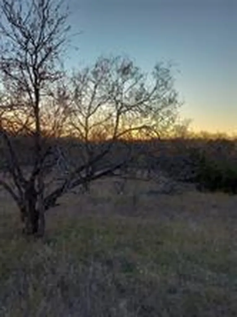 Tbd Lot# 5 Comanche Hills Drive Comanche TX 76442