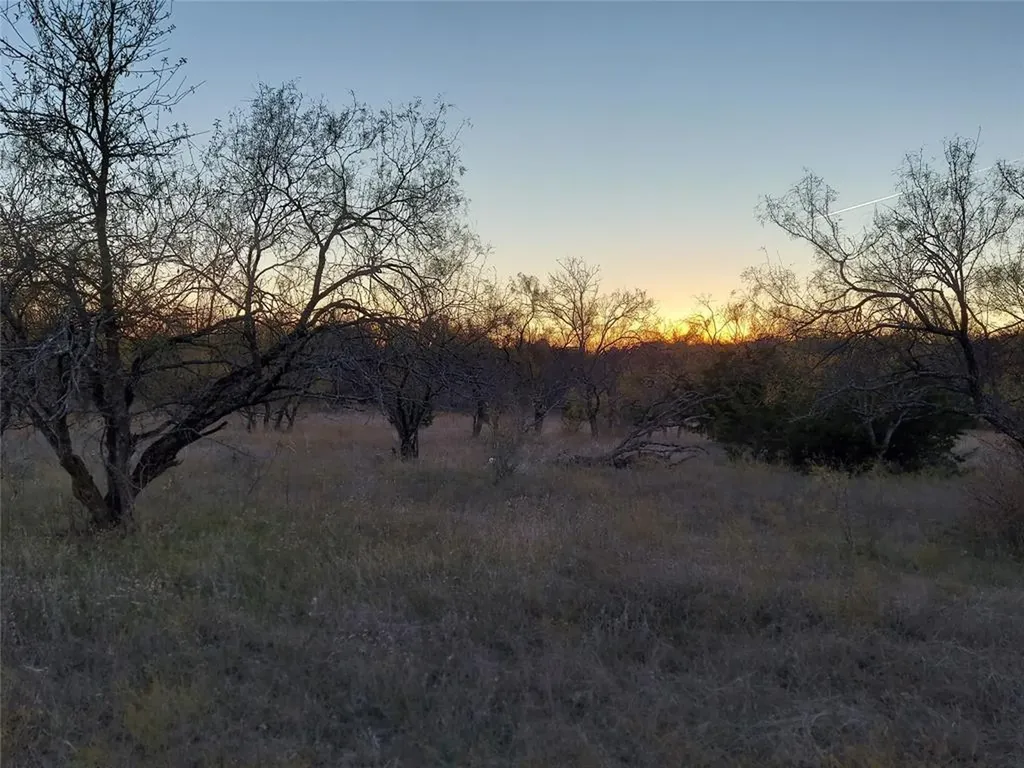 Tbd Lot# 5 Comanche Hills Drive Comanche TX 76442