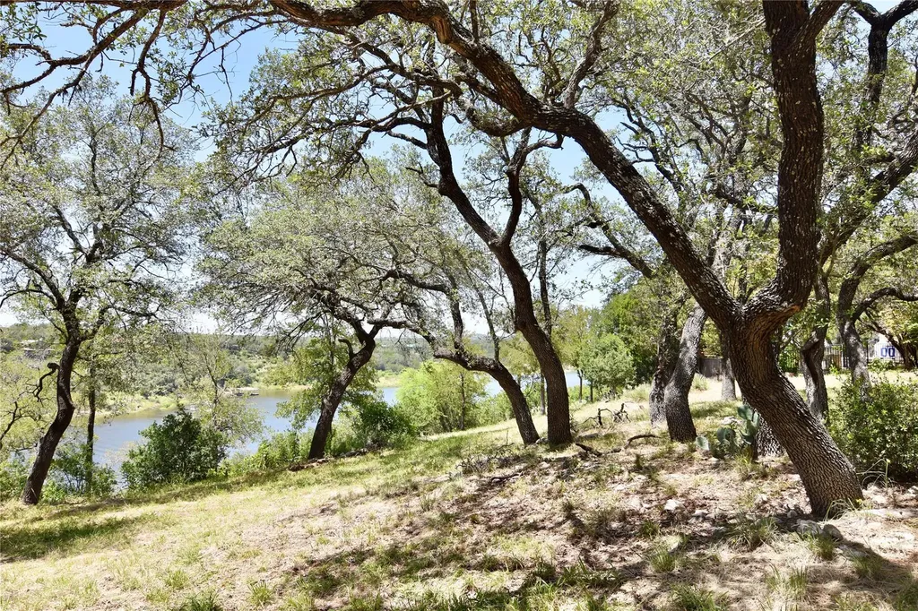 2802 Marina Shores Drive Spicewood TX 78669