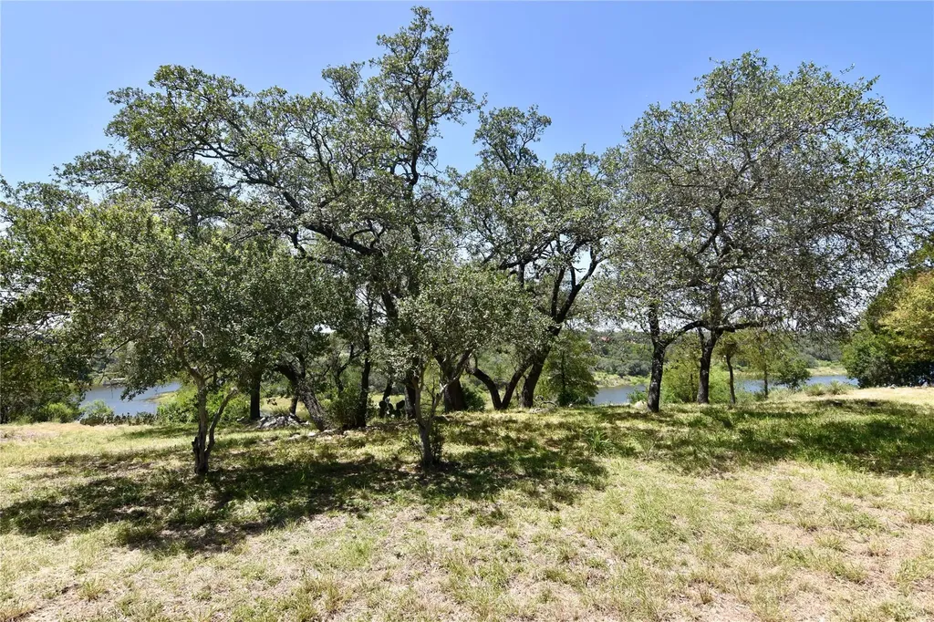 2802 Marina Shores Drive Spicewood TX 78669