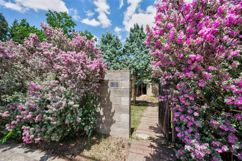 1305 Chestnut Avenue Austin TX 78702