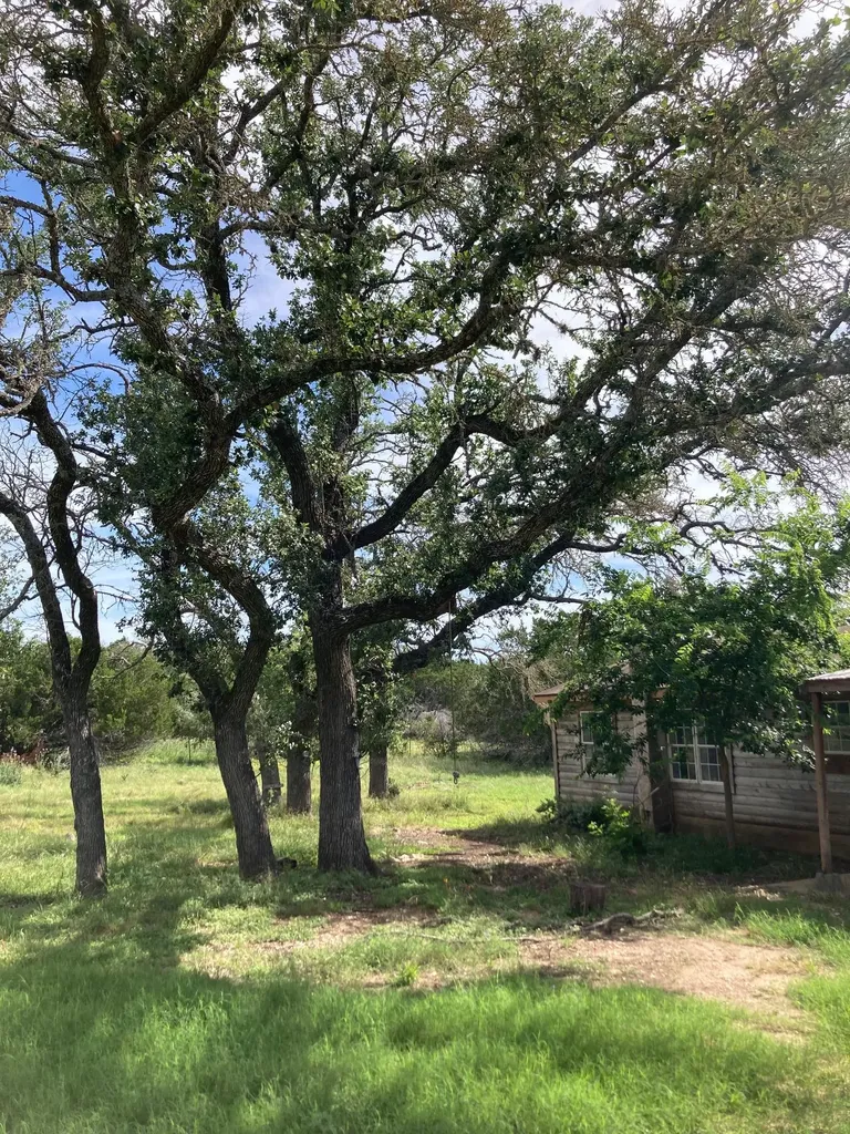 1050 Harmon Hills Road Dripping Springs TX 78620