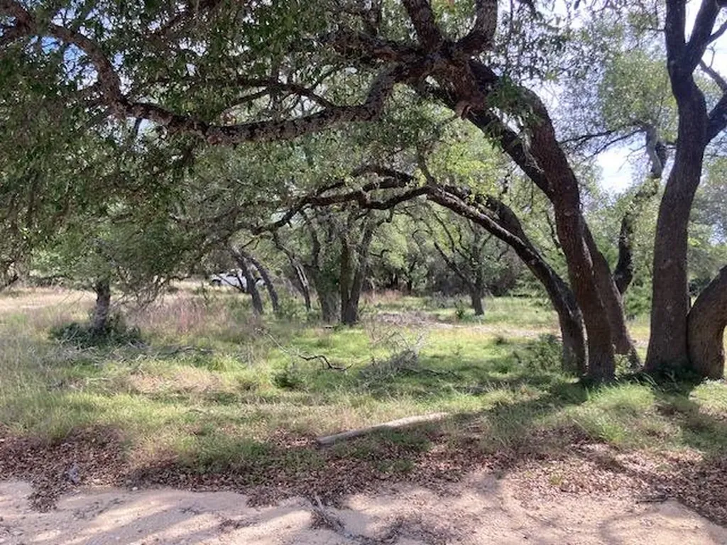 1050 Harmon Hills Road Dripping Springs TX 78620