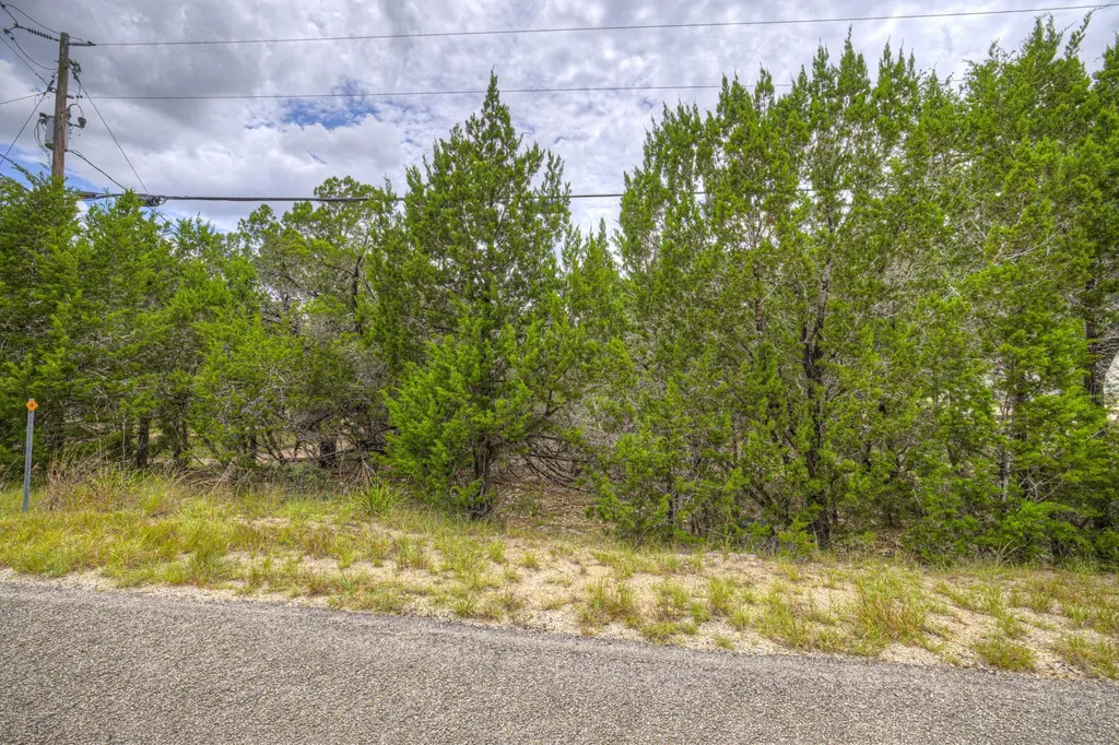 1460 Canyon Lake Drive Canyon Lake TX 78133