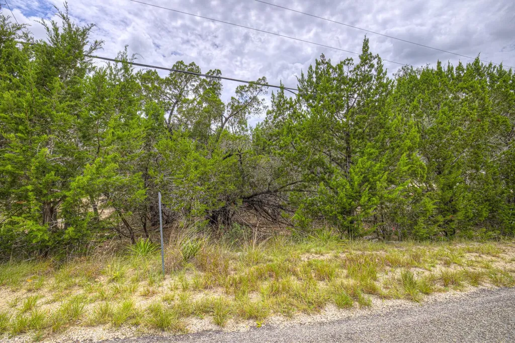 1460 Canyon Lake Drive Canyon Lake TX 78133
