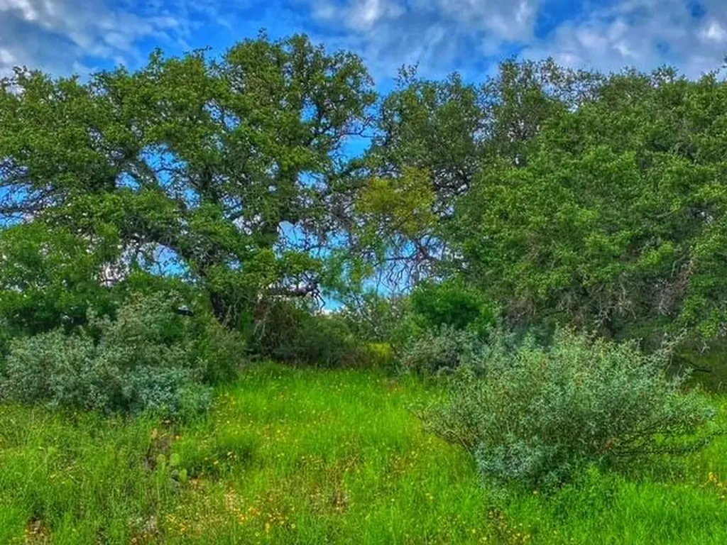 0000 Cr 296 Richland Springs TX 78761