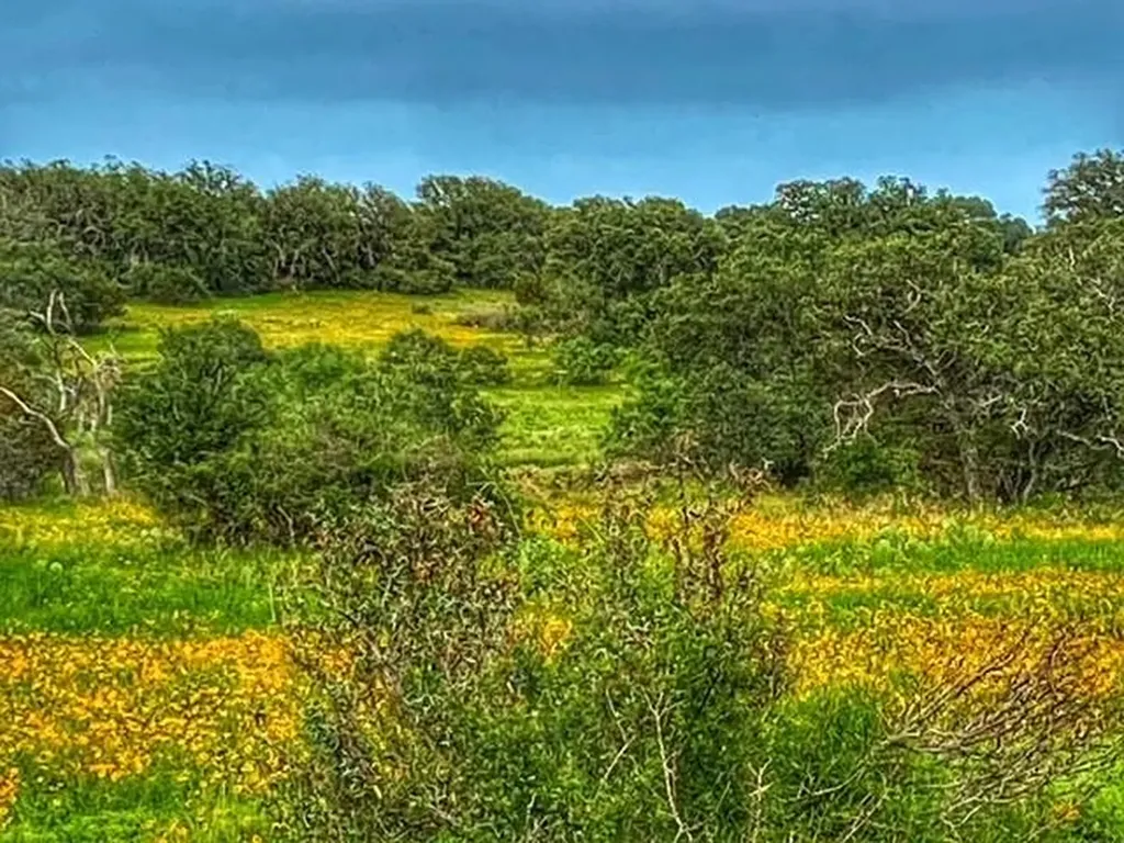 0000 Cr 296 Richland Springs TX 78761