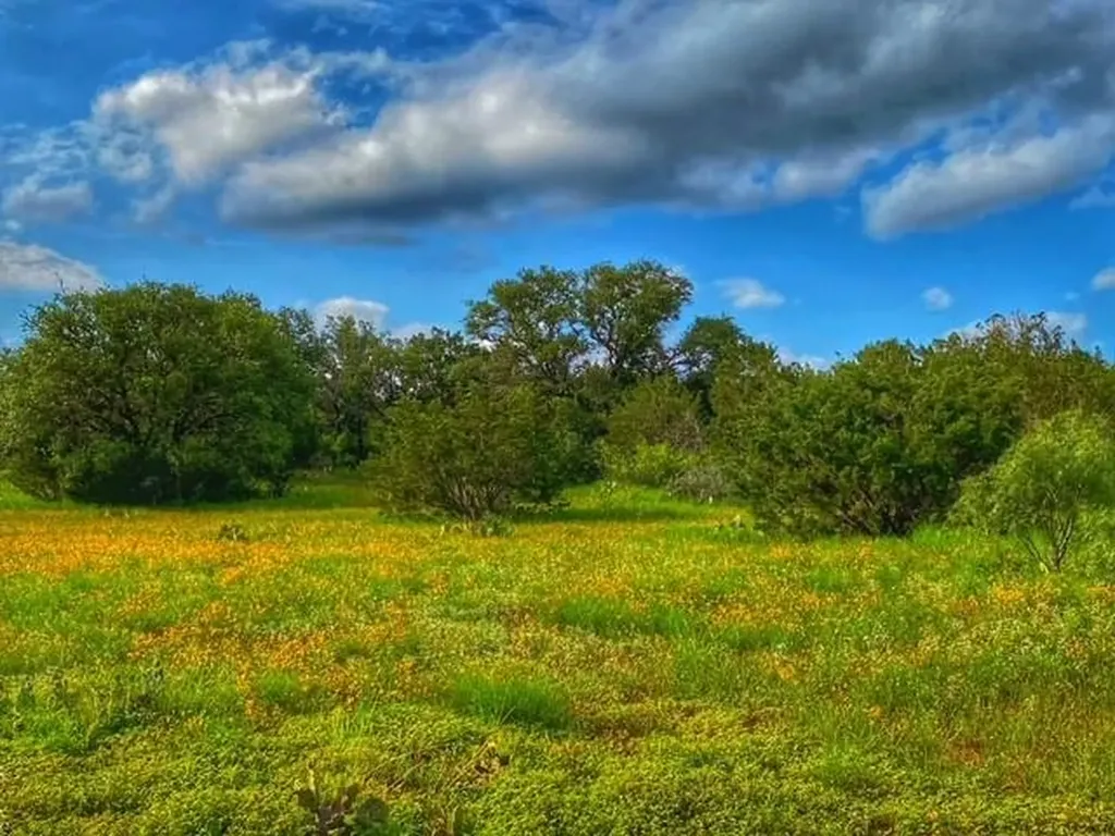 0000 Cr 296 Richland Springs TX 78761