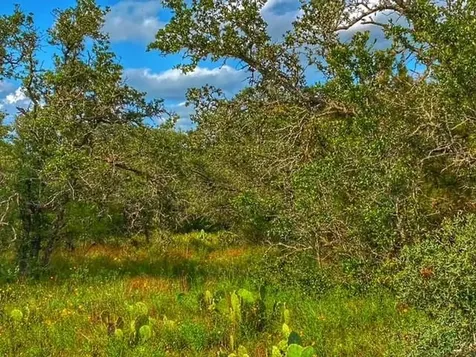 0000 Cr 296 Richland Springs TX 78761