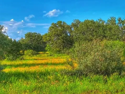 0000 Cr 296 Richland Springs TX 78761