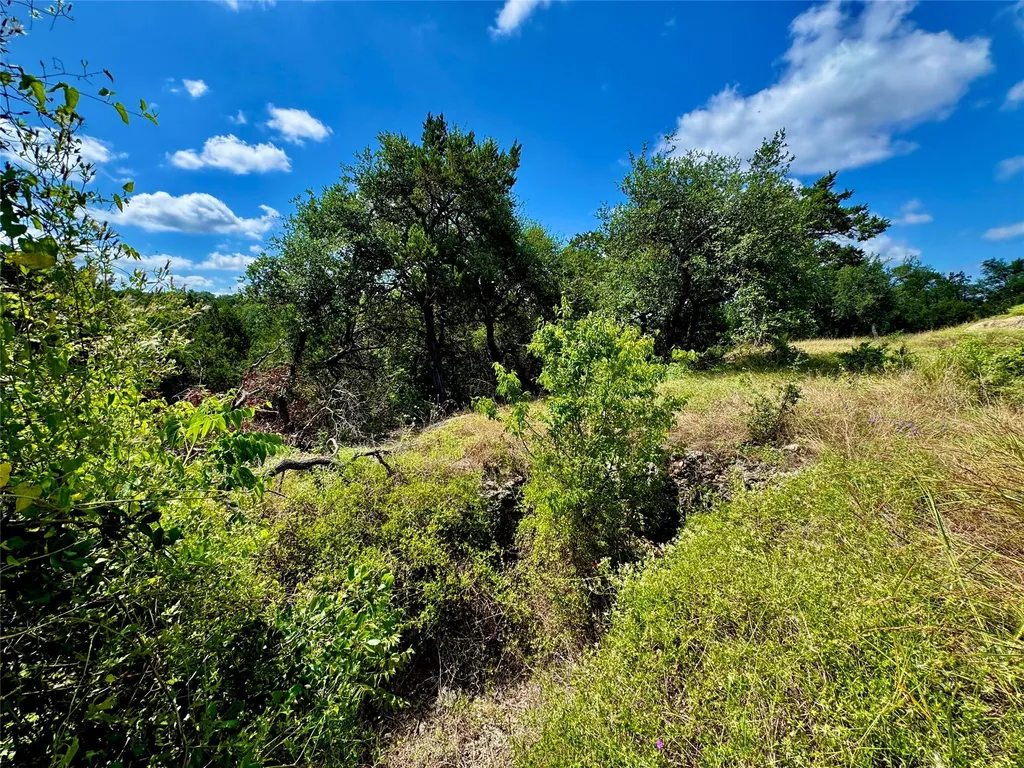242 Landons Way Georgetown TX 78633