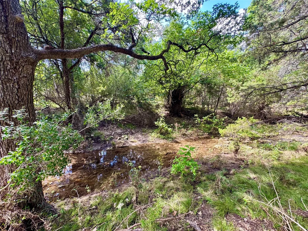 242 Landons Way Georgetown TX 78633
