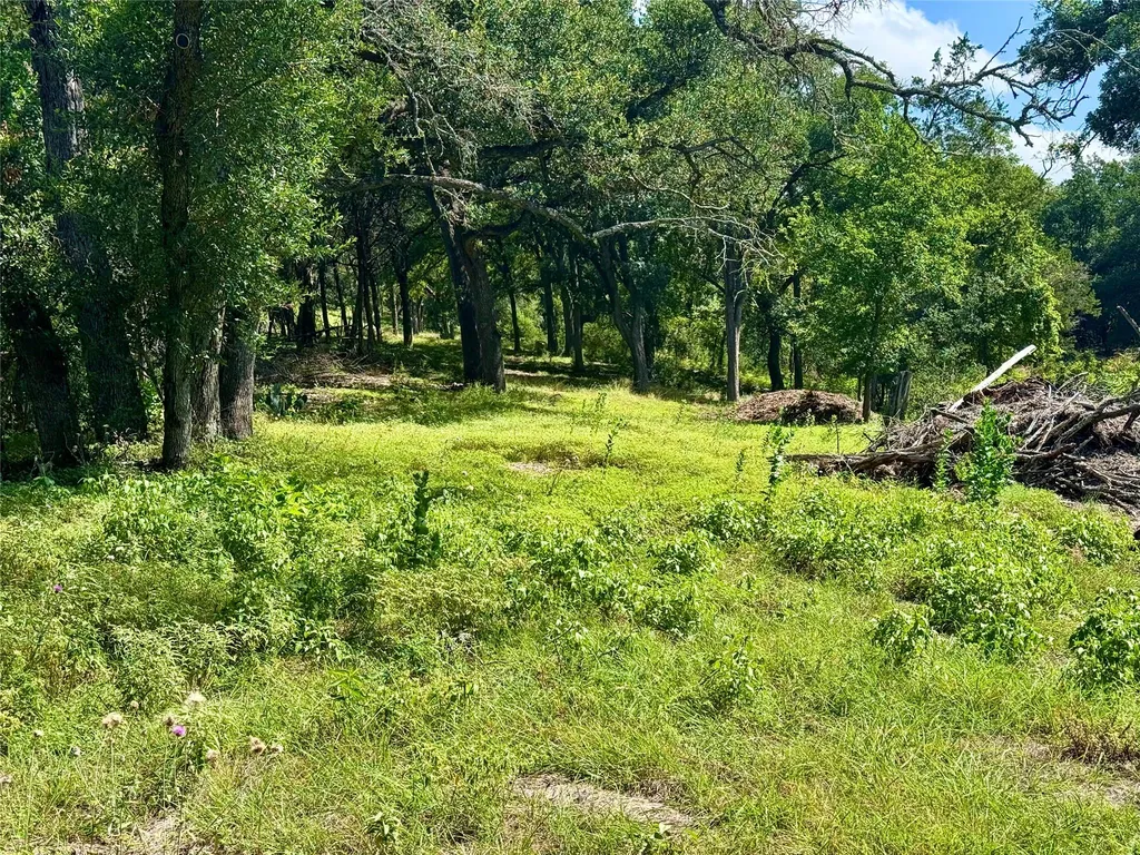 242 Landons Way Georgetown TX 78633