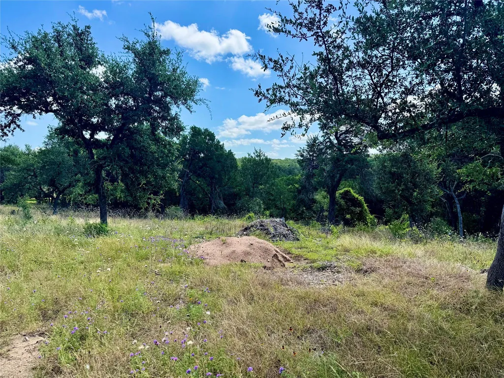 242 Landons Way Georgetown TX 78633