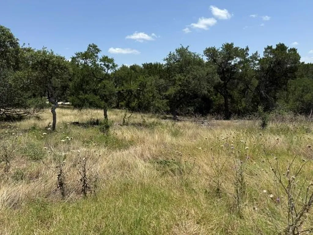 242 Landons Way Georgetown TX 78633