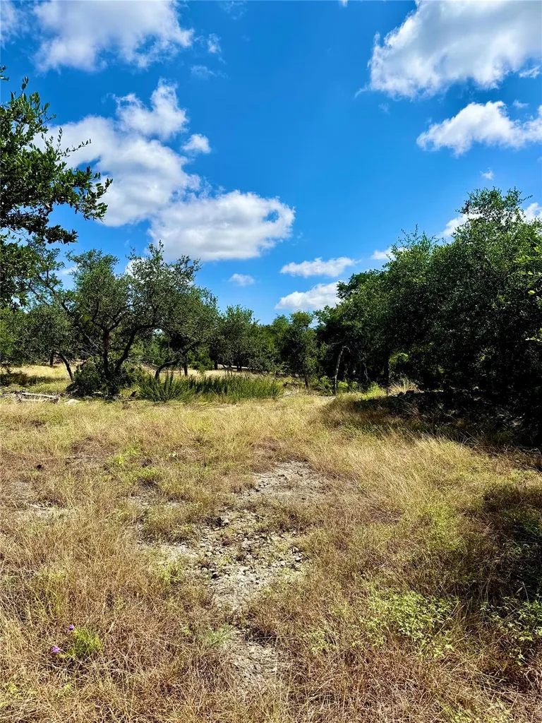 242 Landons Way Georgetown TX 78633