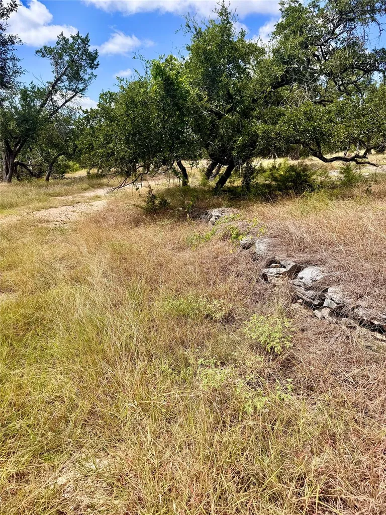 242 Landons Way Georgetown TX 78633
