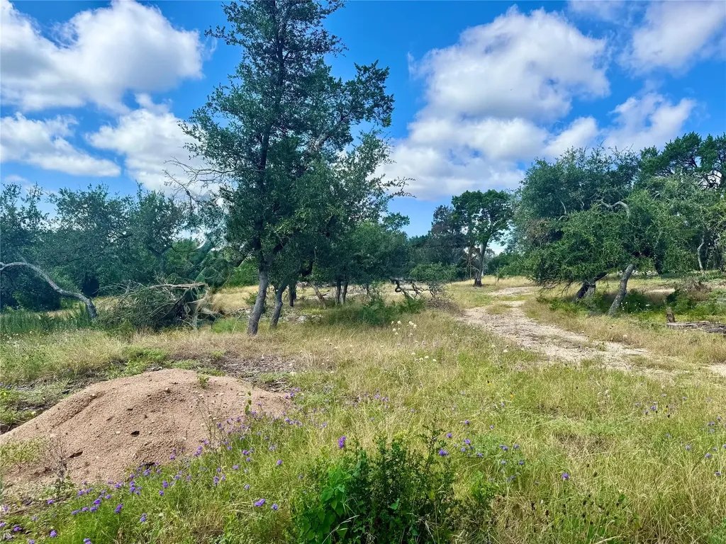 242 Landons Way Georgetown TX 78633