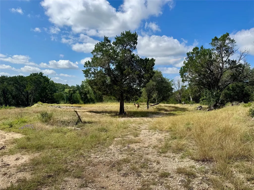 242 Landons Way Georgetown TX 78633