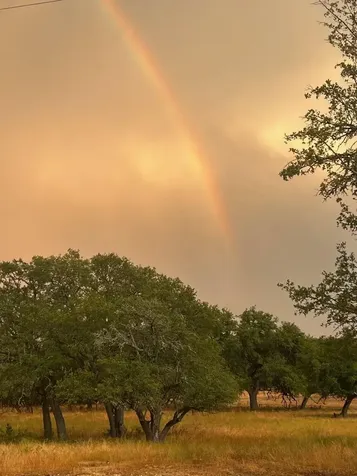 2265 County Road 106 Purmela TX 76566