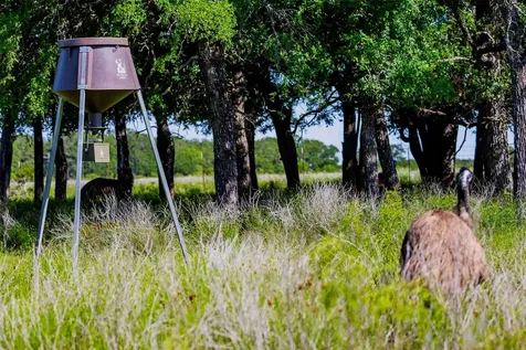 2265 County Road 106 Purmela TX 76566