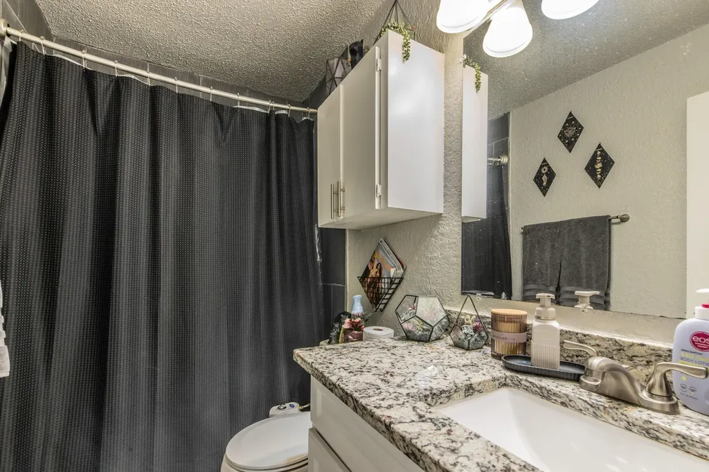1008 Milford Way Austin TX 78745