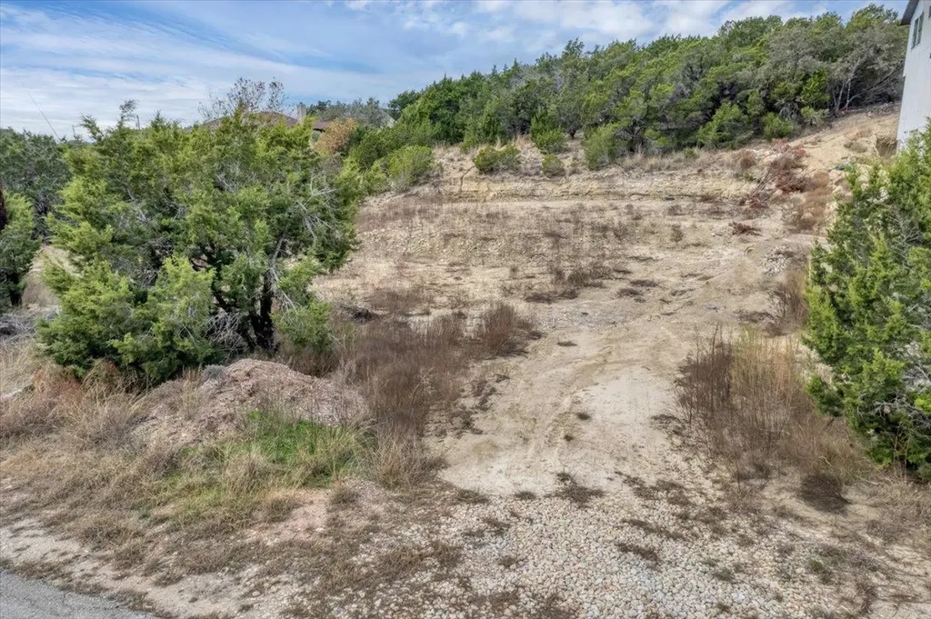 312 Alloway Drive Spicewood TX 78669