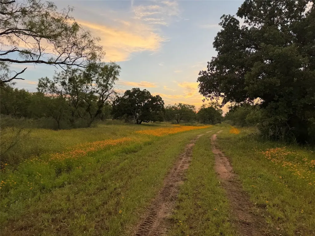Tbd Fm 1980 Tract 1 Marble Falls TX 78654