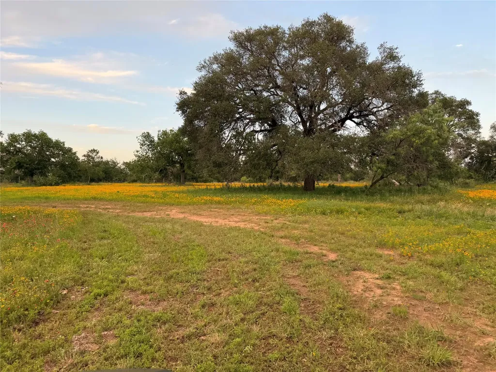 Tbd Fm 1980 Tract 1 Marble Falls TX 78654