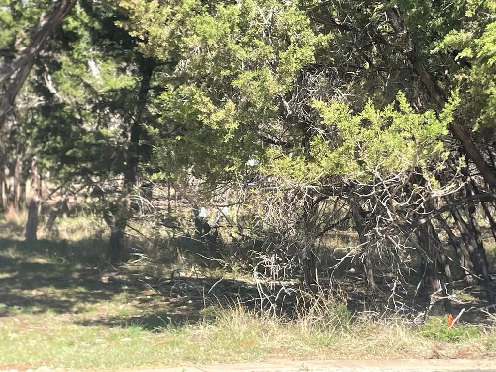 301 Augusta Cove Lago Vista TX 78645