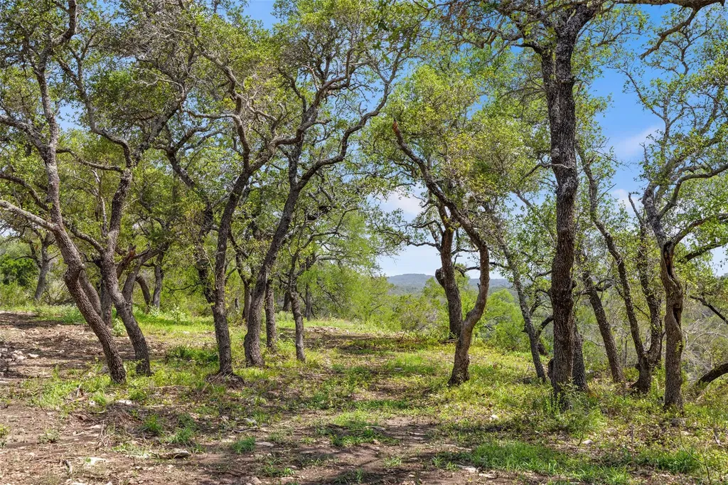 Lot 7 Pedernales Canyon Trail Spicewood TX 78669