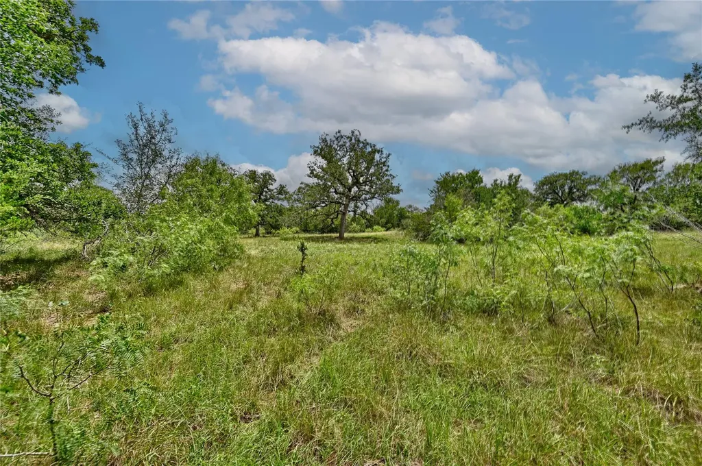 159 Starlight Path Red Rock TX 78662