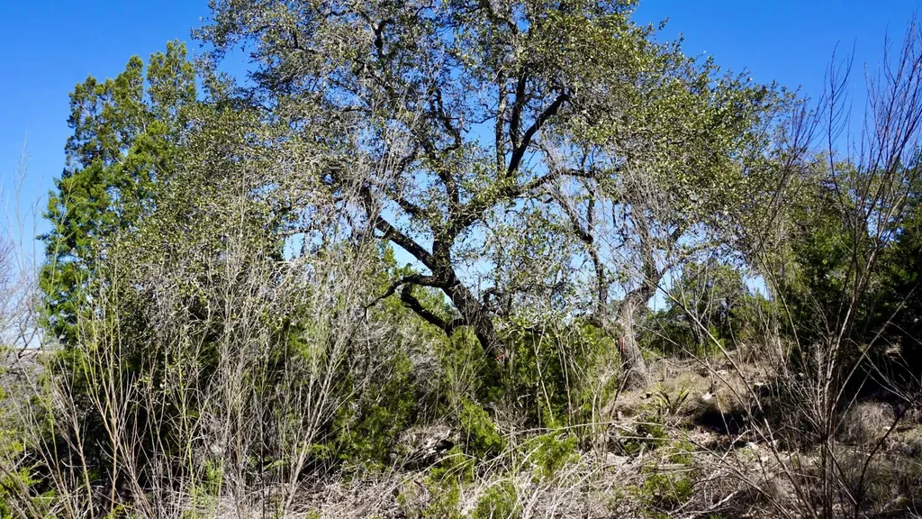 2506 Geronimo Trail Austin TX 78734