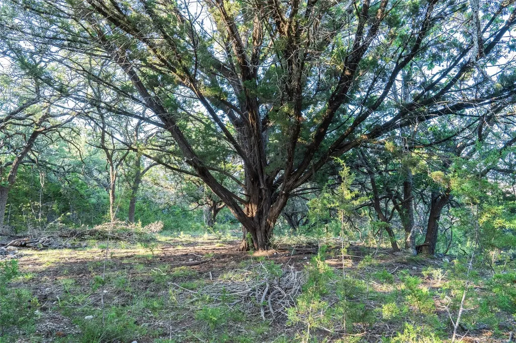 Tbd Crabapple Road Blanco TX 78606
