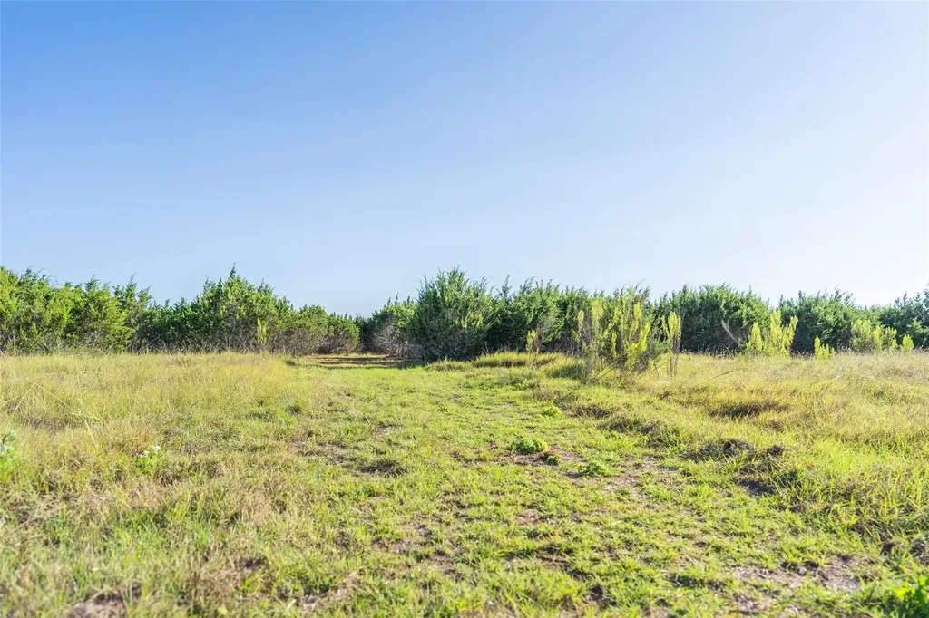 Tbd Crabapple Road Blanco TX 78606
