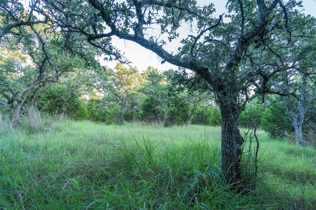 Tbd Crabapple Road Blanco TX 78606