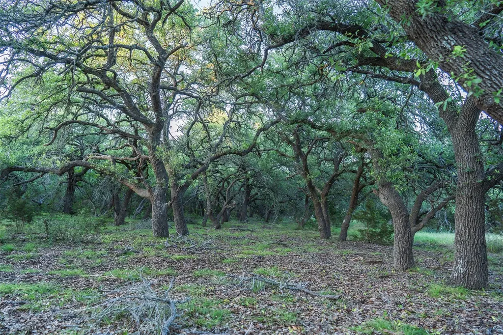 Tbd Crabapple Road Blanco TX 78606
