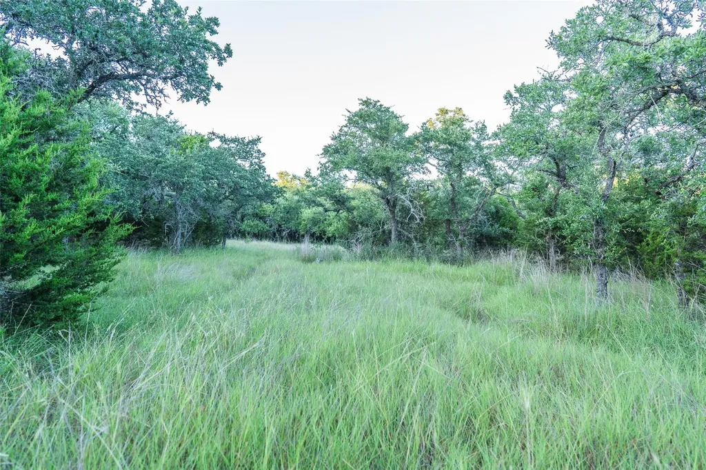 Tbd Crabapple Road Blanco TX 78606