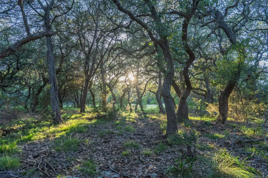 Tbd Crabapple Road Blanco TX 78606
