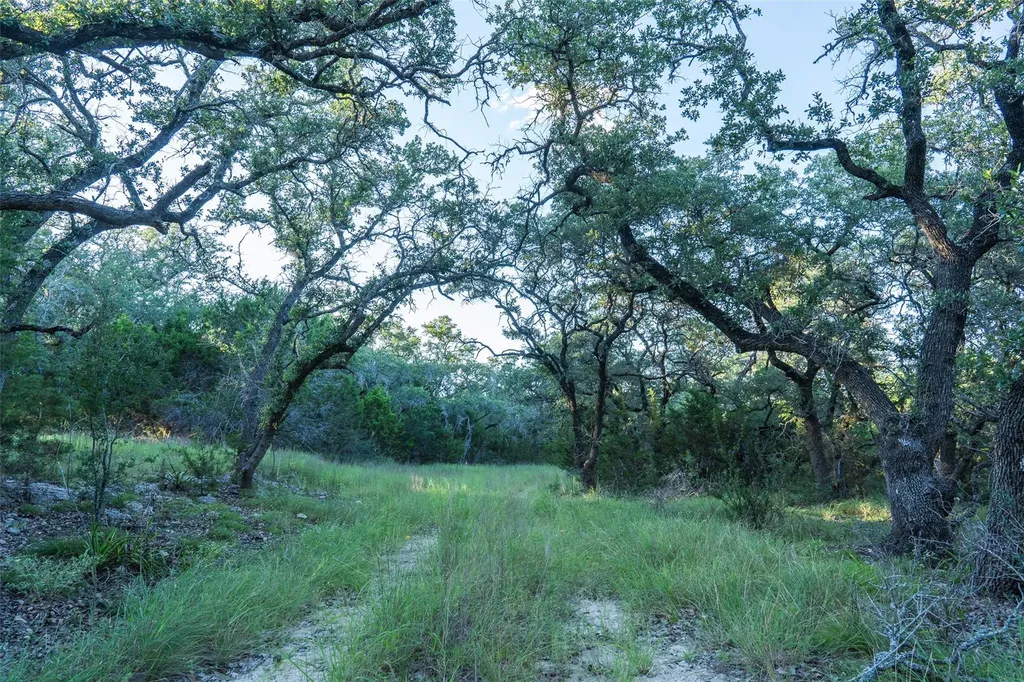 Tbd Crabapple Road Blanco TX 78606