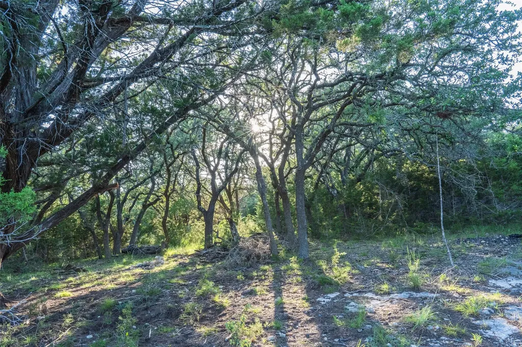 Tbd Crabapple Road Blanco TX 78606