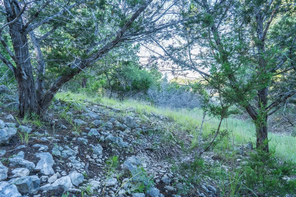 Tbd Crabapple Road Blanco TX 78606