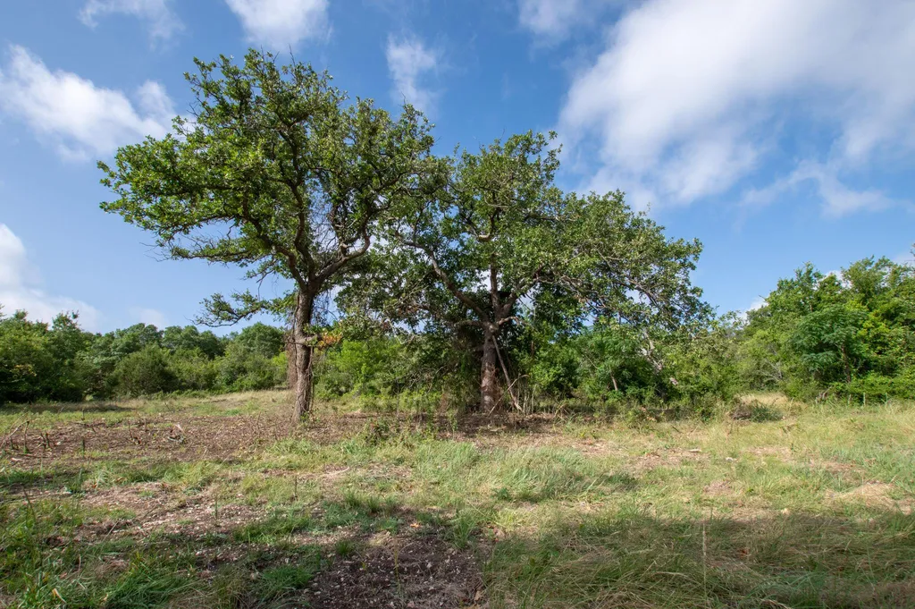101 Fm-1047 Hamilton TX 76880