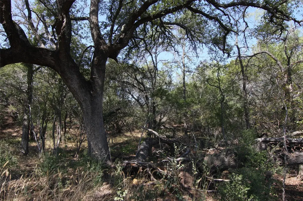 Lot 78 Laurel Wood Court Spicewood TX 78669