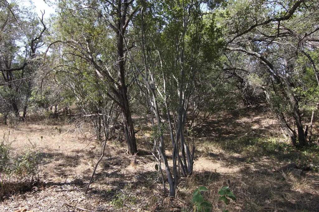 Lot 78 Laurel Wood Court Spicewood TX 78669