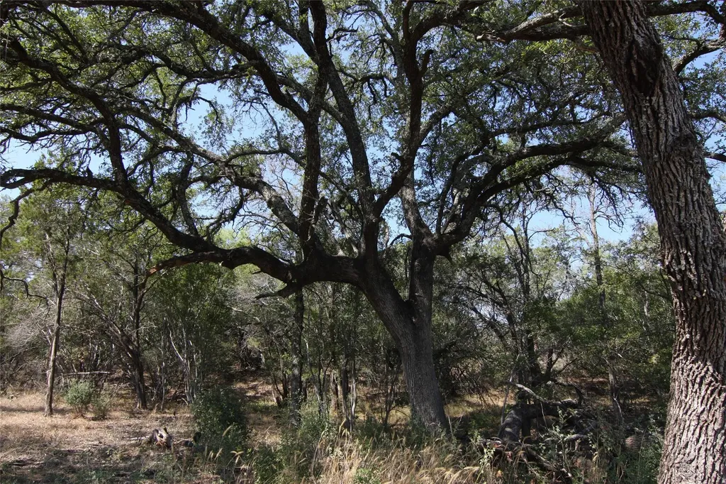 Lot 78 Laurel Wood Court Spicewood TX 78669
