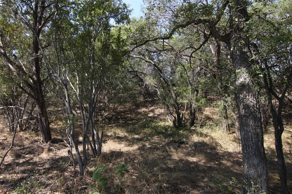 Lot 78 Laurel Wood Court Spicewood TX 78669
