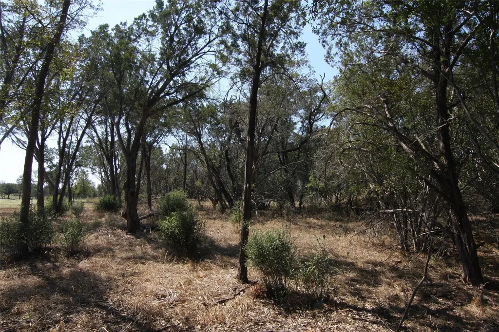 Lot 78 Laurel Wood Court Spicewood TX 78669