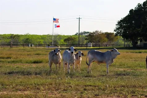 Tract 2 11.95 Ac - 1460 E State Highway 87 Nixon TX 78140