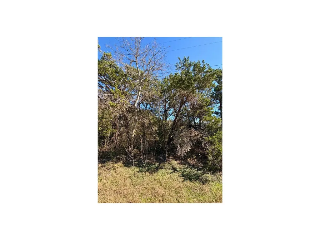 7401 Williamson Creek Drive Austin TX 78736